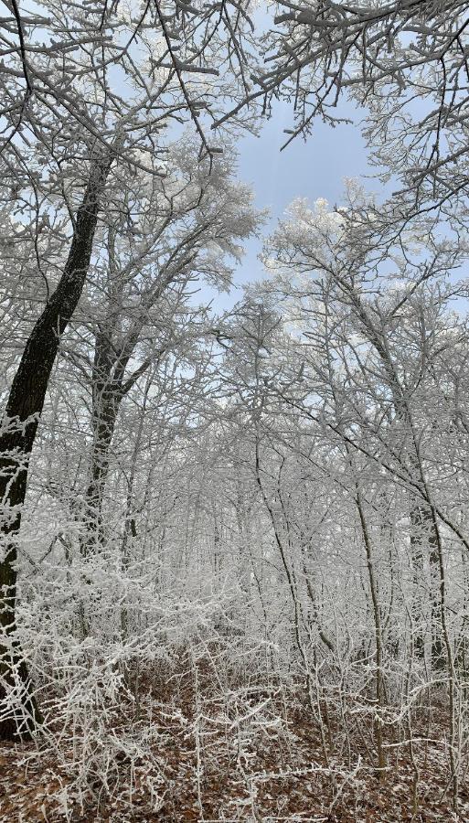 Kisvulkan Nyulontul Mencshely Dış mekan fotoğraf