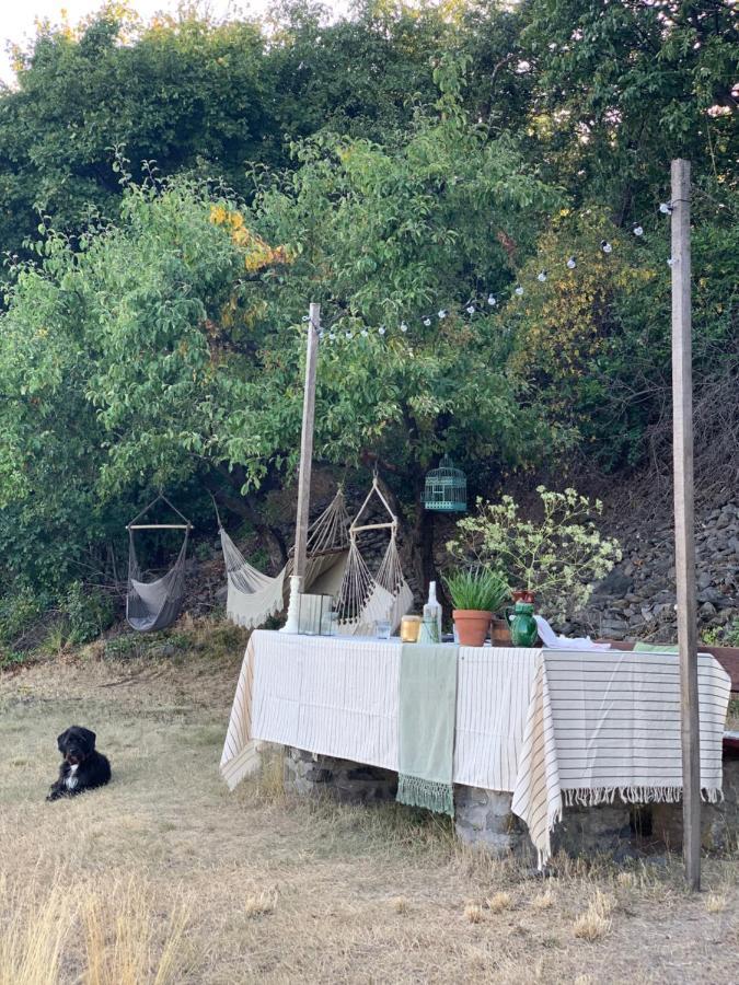 Kisvulkan Nyulontul Mencshely Dış mekan fotoğraf